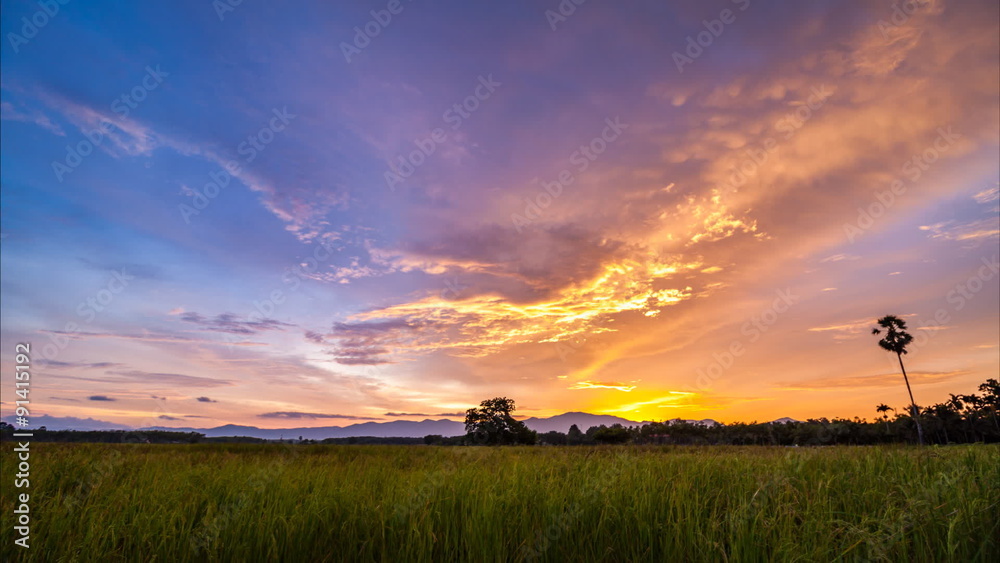 Timelapse day to night with colorful sky over rice field at Songkhla,Thailand