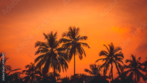 Пальма и закат