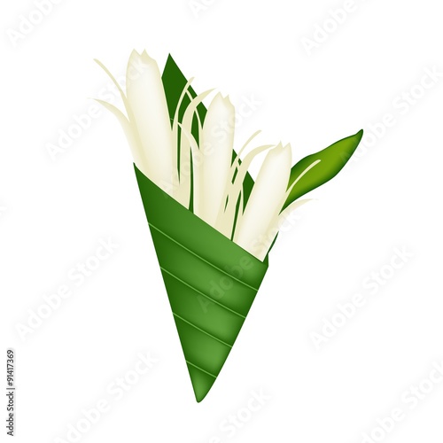 White Michelia Alba or Michelia Champaca in Banana Leaf Cone photo