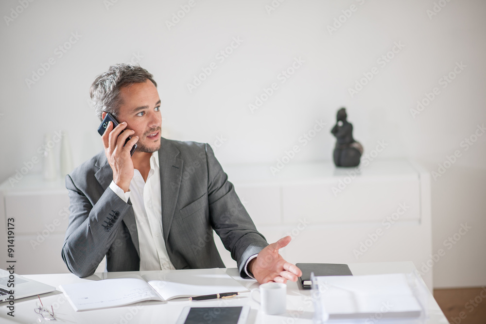 Business man with grey hair and beard moving his hand while spea Business man with grey hair and beard moving his hand while spea