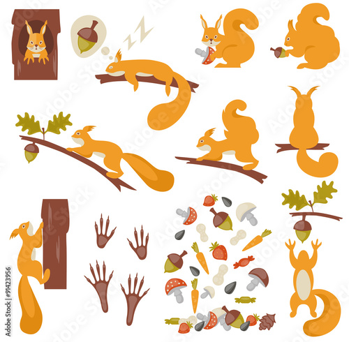 Set of squirrels cartoon. Squirrels.