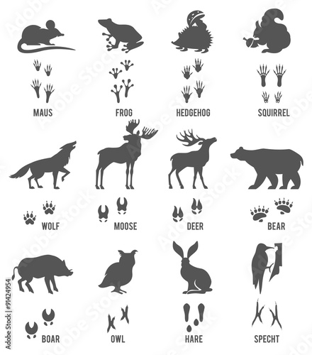 Set of Animal and Bird Trails