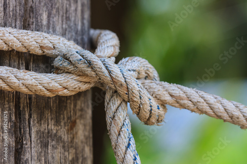  knot of thick rope tied around a wooden stake
