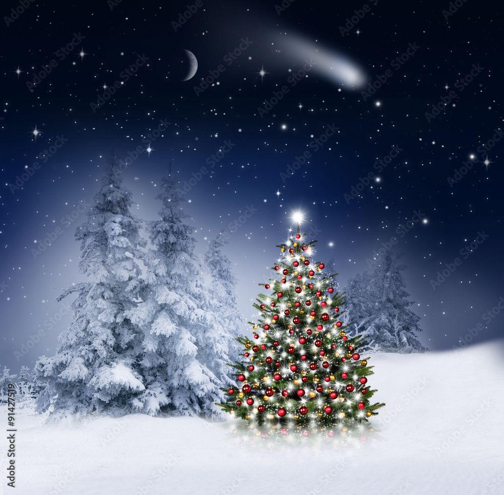 Weihnachtsbaum im Winterwald bei Nacht