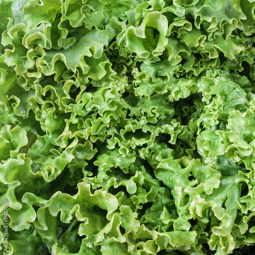 salad - texture 