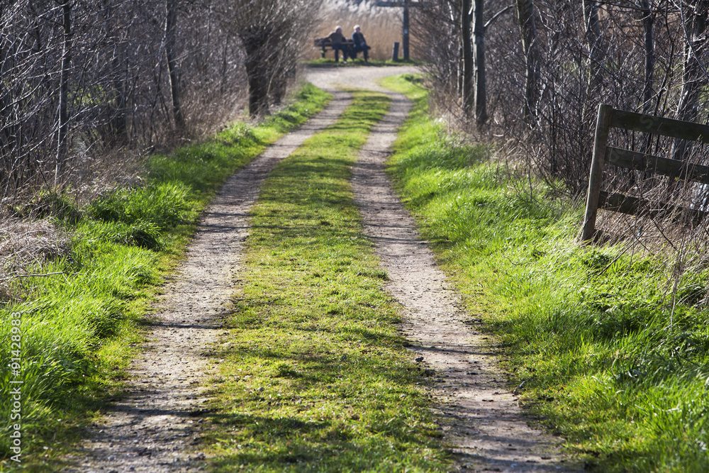 Fototapeta premium Rural farm road