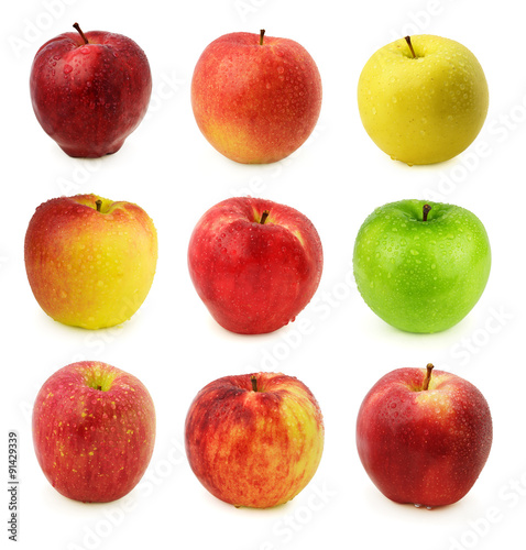 Apples isolated on white.
1 row: Red Delicious, Sonya, Golden Delicious
2 row: Ambrosia, Honey Crisp, Granny Smith
3 row: Fuji, Jonagold, Gala