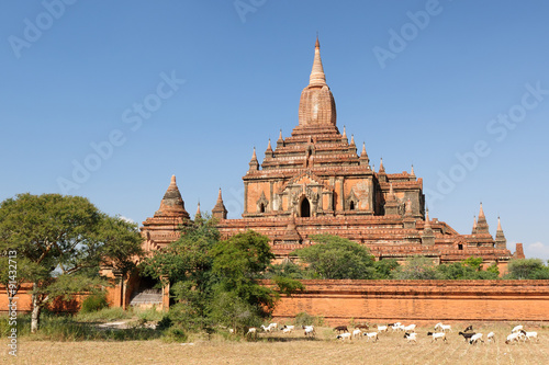 Myanmar  Burma   Bagan  Sulamani Pahto temple