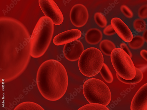 Erythrocytes