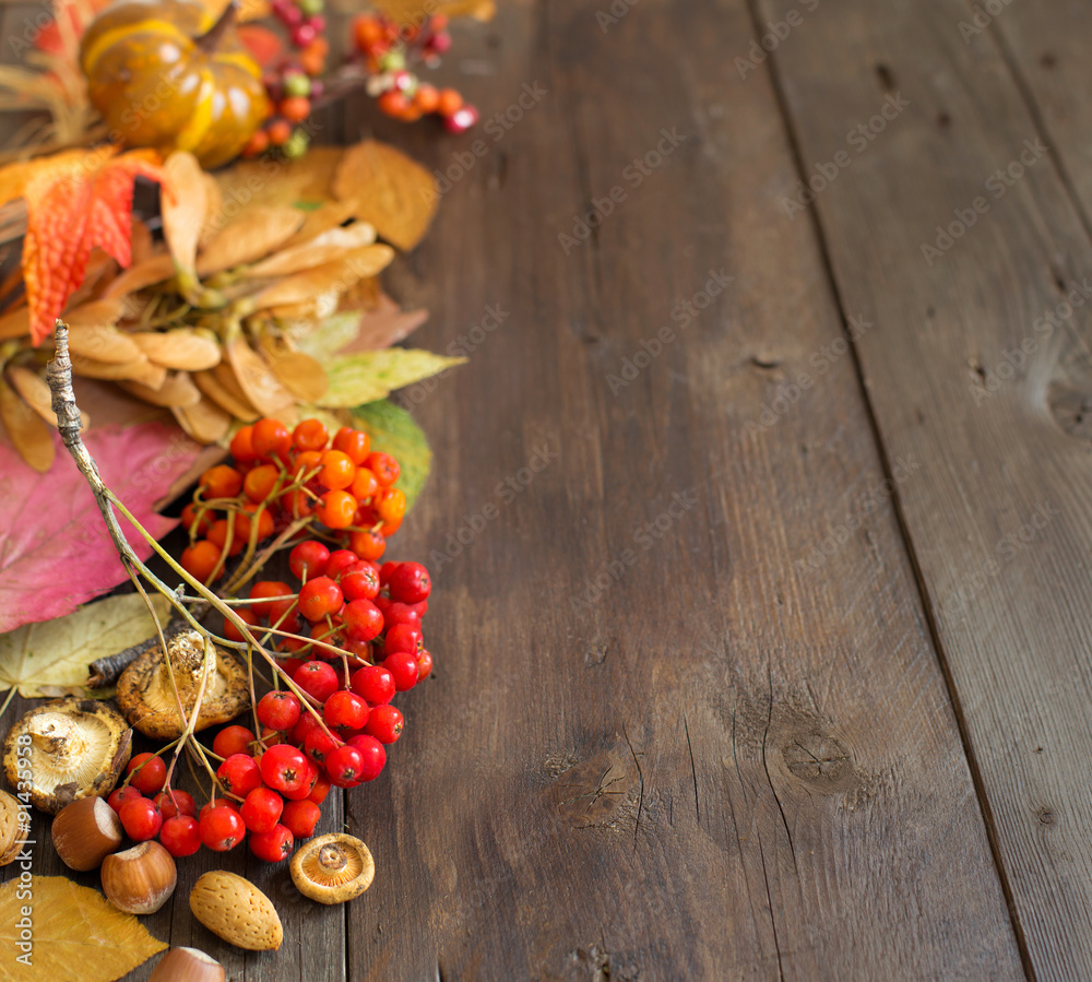Autumn background Autumn background