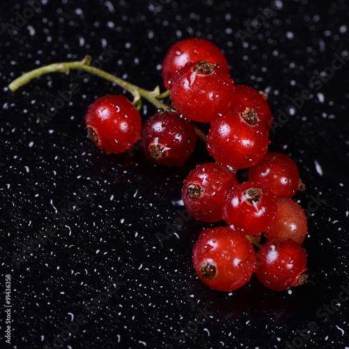 The red currant close up
