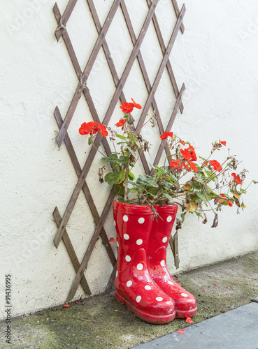 Fototapeta Naklejka Na Ścianę i Meble -  Red And White Wellingtons.
