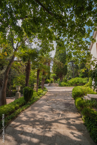 Beautiful garden with hedges