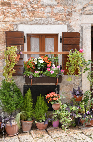 Blumenfenster in Bale  Istrien  Kroatien