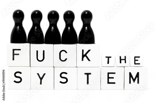 Fuck the System photo