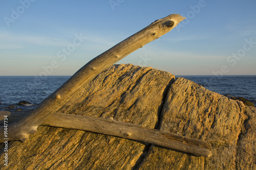 Crossed driftwood logs on glacial boulder, Hammonasset Beach, Madison, Connecticut. photo