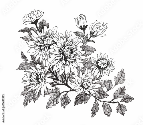 Wallpaper Mural Beautiful monochrome, black and white flower isolated. Hand Torontodigital.ca