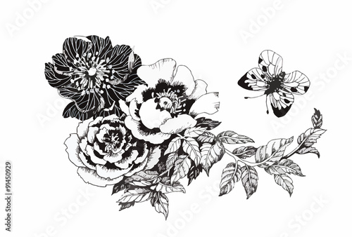Beautiful monochrome, black and white flower isolated. Hand