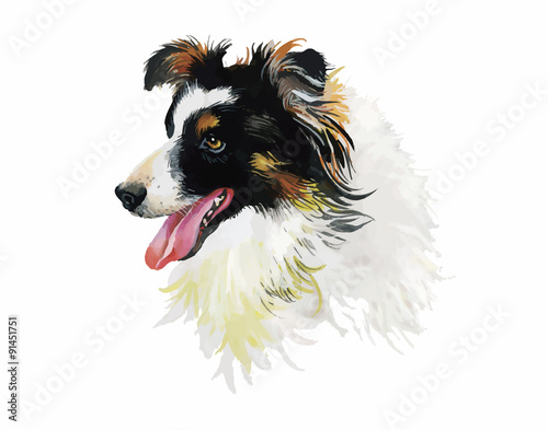 Fotografija Border Collie Animal dog watercolor illustration isolated on