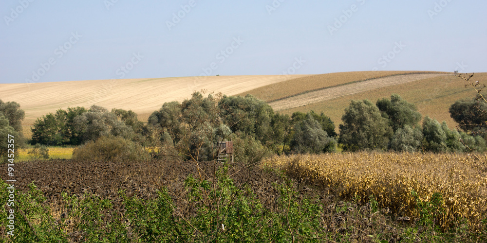 View on Hungarian landscape in the province Somogy View on Hungarian landscape in the province Somogy