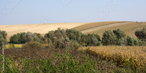 View on Hungarian landscape in the province Somogy