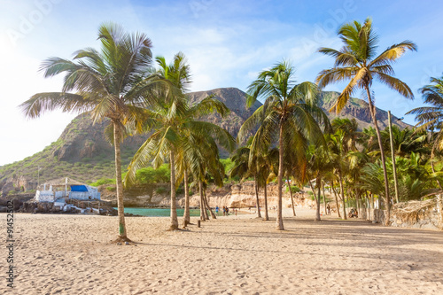 Coconut trees in Tarrafal beach in Santiago island in Cape Verde