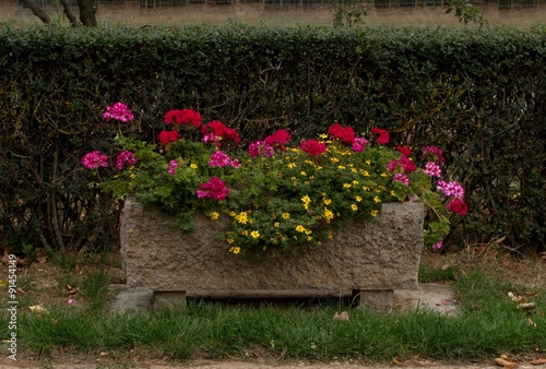 Fototapeta Naklejka Na Ścianę i Meble -  Blumentrog mit Geranien und Sommerblumen
