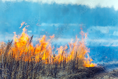 Dry Grass Field Fire Disaster Closeup © Rostislav Ageev