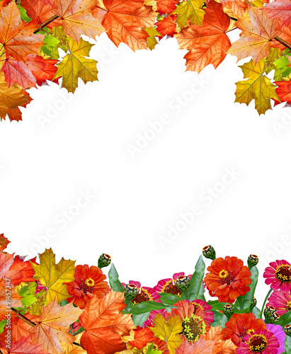 zinnia flowers and fall foliage