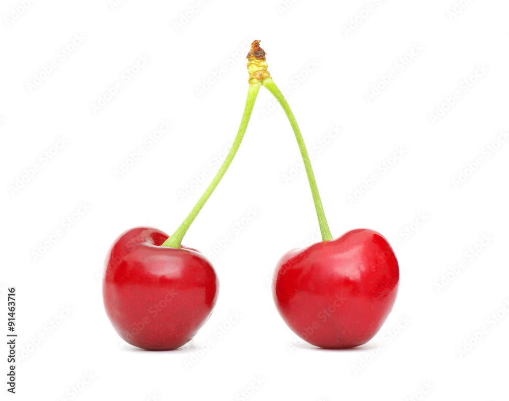 cherry cherry