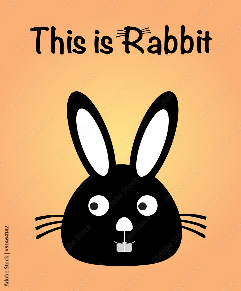 Fototapeta premium This is rabbit, bunny vector, cute rabbit colorful. orange background