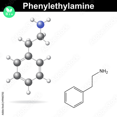 Phenylethylamine molecule