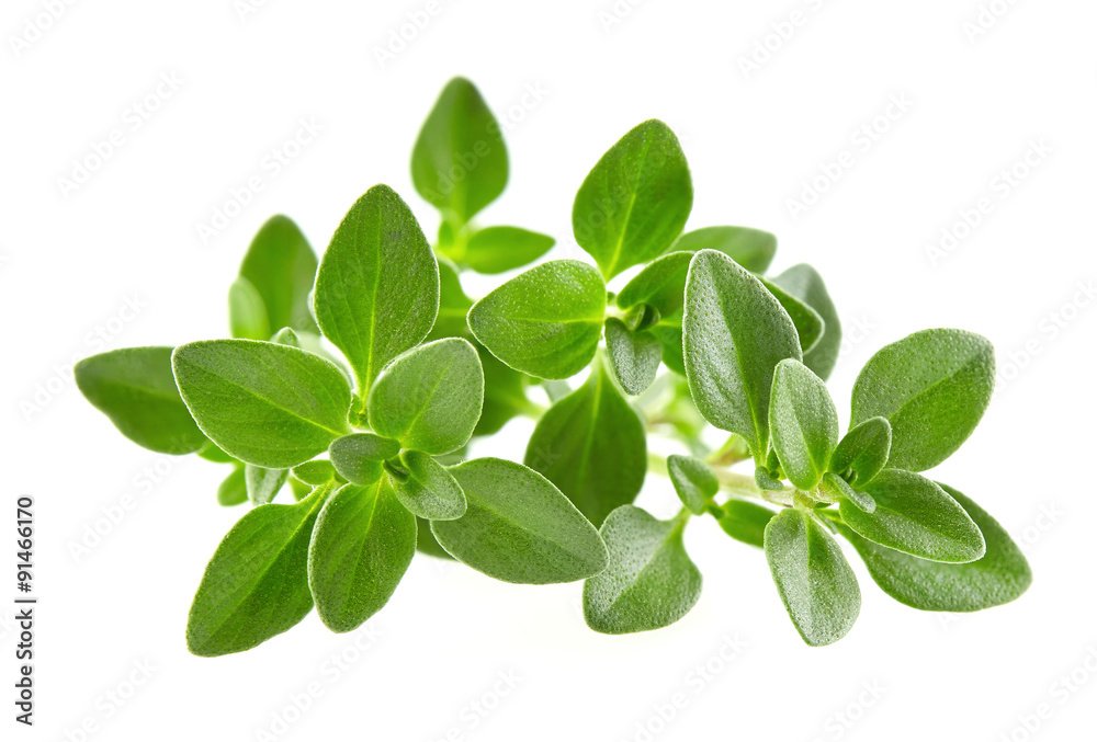 Thyme leaves Thyme leaves