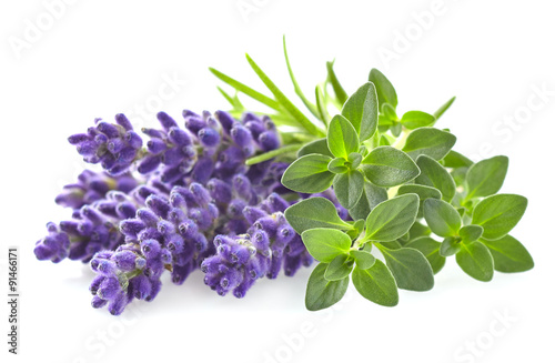 Thyme with lavender