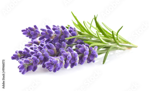 Photo Lavender flowers