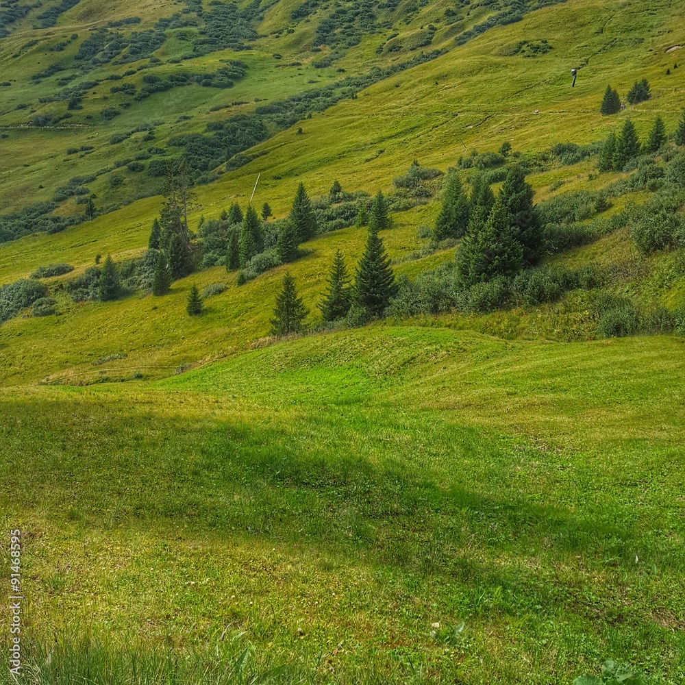 Almwiesen, Tirol - Sommer