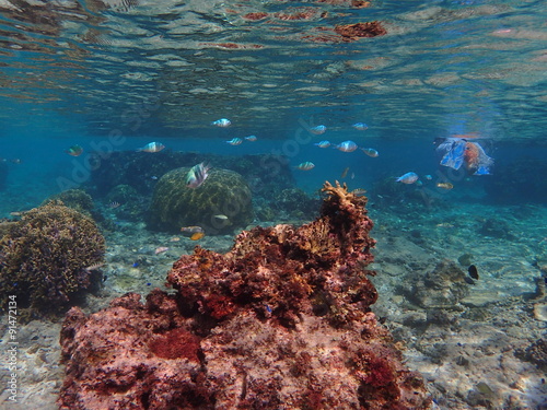 Underwater scene with man snorkeling, Okinawa, Japan 