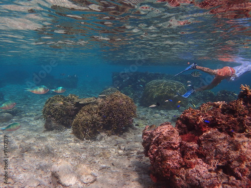 Underwater scene with man snorkeling, Okinawa, Japan 