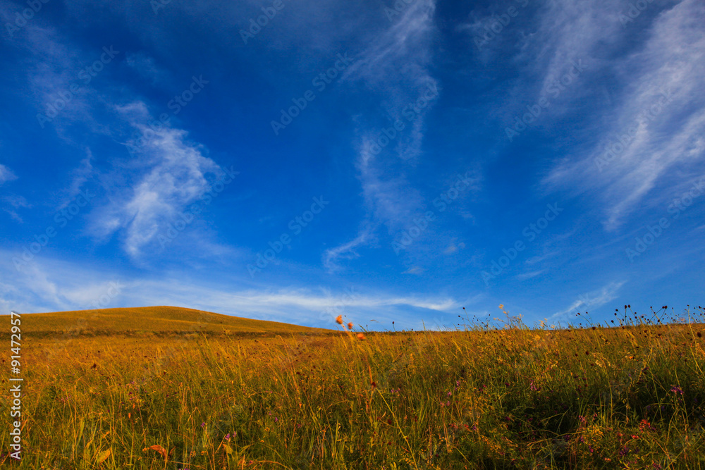 Fototapeta premium scenery of hulunbeir prairie china
