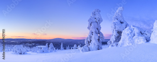 Sunset over frozen trees on a mountain, Levi, Finnish Lapland