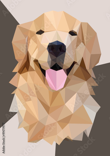 low poly head golden retriever