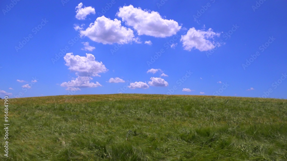 Clouds drift behind beautiful vast open fields of waving grain. Clouds drift behind beautiful vast open fields of waving grain.
