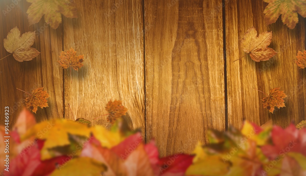 Obraz premium Composite image of autumn leaves