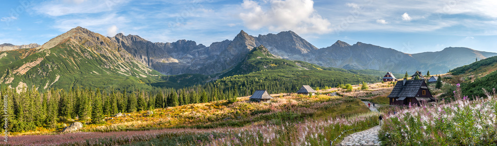 Naklejka premium Hala Gasienicowa in Tatra Mountains - panorama