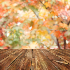 Autumn background