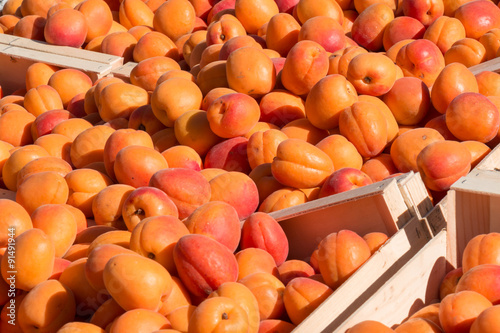 Apricots on display for sale at farmer's market