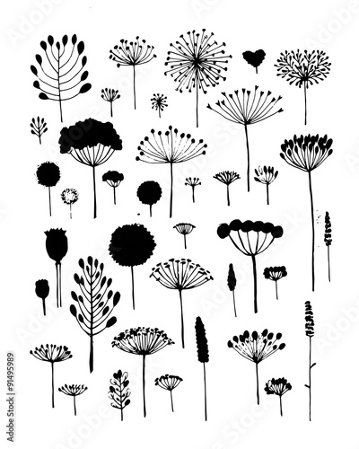 Floral collection, sketch fro your design