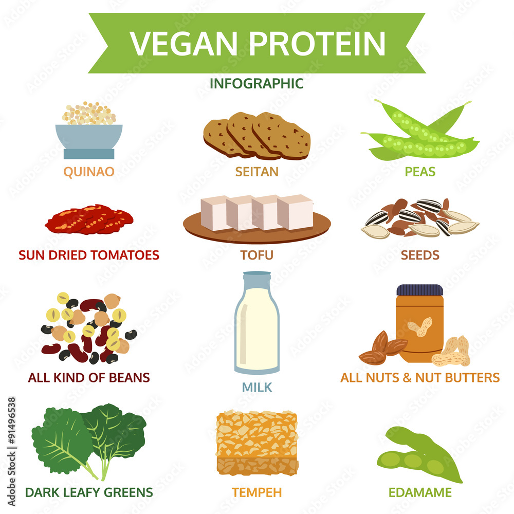 vegan protein info graphic, icon food vector illustration Stock Vector ...