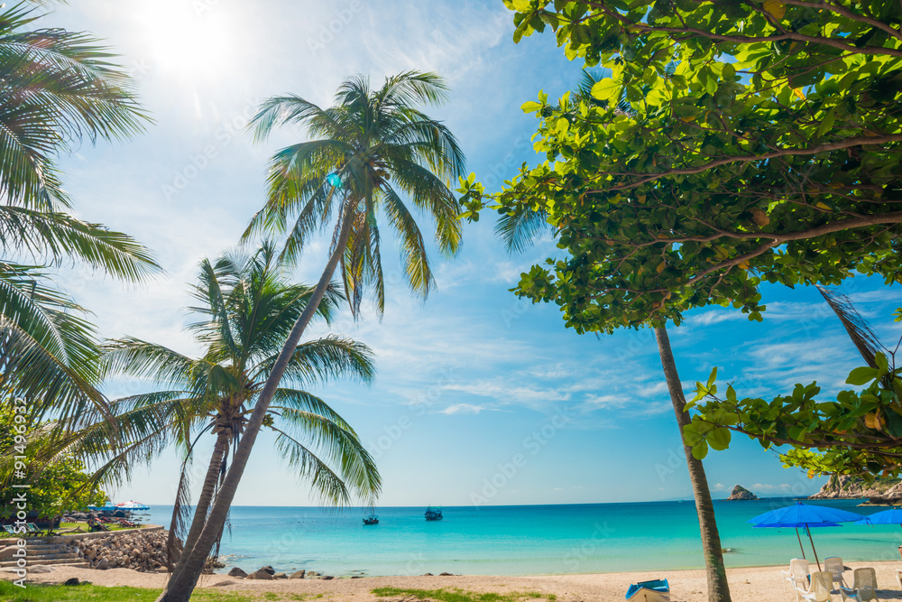 Uprisen angle view of nice tropical background with coconut pal Uprisen angle view of nice tropical background with coconut pal