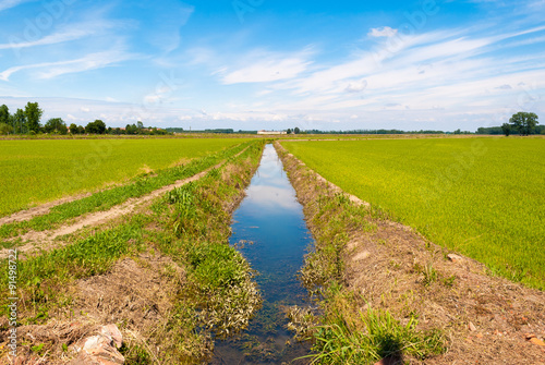 Canal for the irrigation in cultivated fields photo